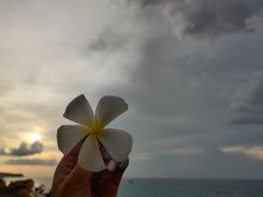 -Rock Bar Bali(Bali)