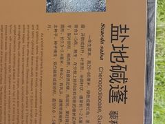-东营胜利机场