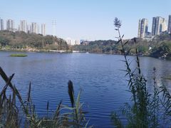 -重庆彩云湖湿地公园