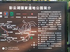 -重庆彩云湖湿地公园