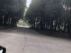 -胜华驾校·小猫学车(银都店)