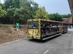 -清迈夜间动物园