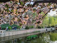 -海棠花溪(元大都城垣遗址公园)