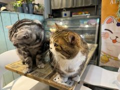 -小时光咖啡馆(北锣鼓巷店)