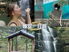 -碧峰峡风景区