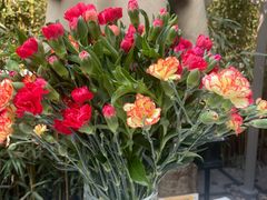 -春暖花开(西溪店)