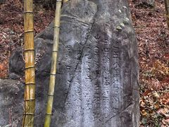 -大唐贡茶院