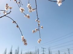 -门城湖公园