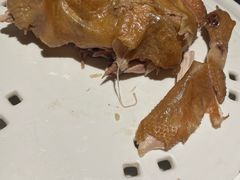 -金狮麟·新豫菜(金码大厦店)