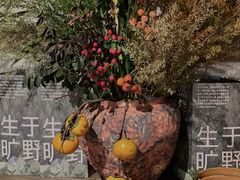 -大龙燚·旷野鲜火锅(广州首店)