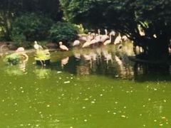 -九龙公园