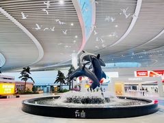 -青岛胶东国际机场
