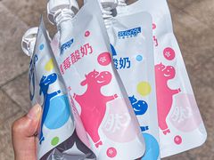 -白色日记·手作酸奶(麦凯乐店)