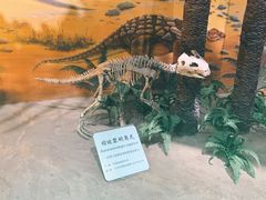 -甘肃地质博物馆