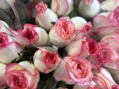 -循礼门鲜花花市(武汉循礼门店)