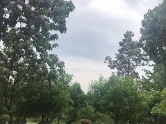 -清溪水库