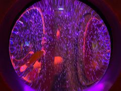 -沈阳海洋探索中心