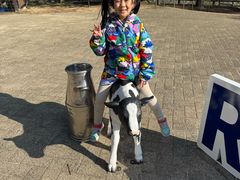 -神户市立六甲山牧场