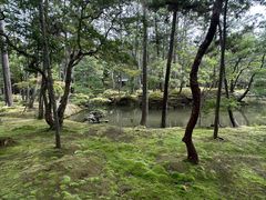 -西芳寺(苔寺)
