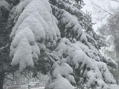 -乔波室内滑雪场