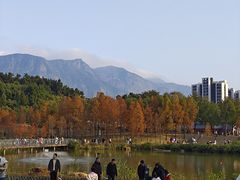 -牛岗山公园