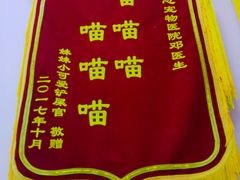 -创凡宠物医院·骨专科  猫科中心(西乡分院)