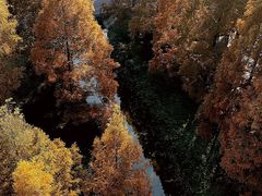 -黄海国家森林公园