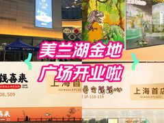 -中集金地美兰城