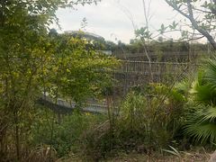 -梅峰山地公园