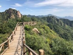 -大岭沟猕猴桃谷风景区