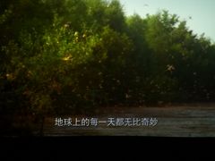 -幸福蓝海国际影城(烟台大悦城IMAX店)