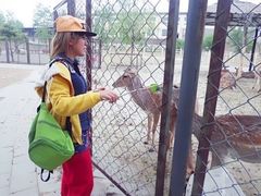 iphone_upload_pic-北京鹿世界主题园