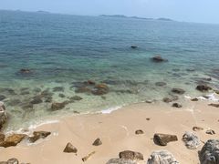 -杨梅坑