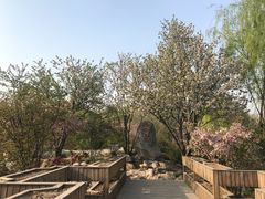 -石家庄市植物园