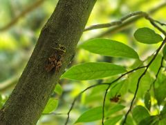 -赤水丹霞旅游区·佛光岩