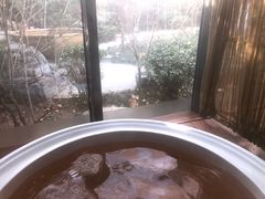 -春晖园度假酒店温泉