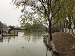 -西安浐灞国家湿地公园