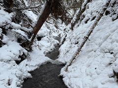 -峡谷浮石林景区