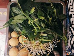 -古彭7只羊·招牌白串·碳锅羊肉旗舰店