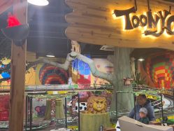 -卡通尼·Safari非洲探索乐园·生日会(金桥国际商业广场店)