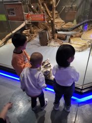 -未来动物城动物主题公园(大悦城店)