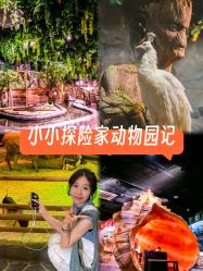 -Zoolung Zoolung动物主题公园(海信广场店)