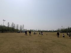 -上海长兴岛郊野公园