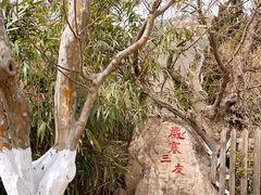-石老人观光园
