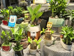 -循礼门鲜花花市(武汉循礼门店)