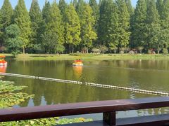 -黄海国家森林公园