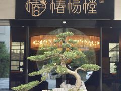 -椿杨樘·明康泡浴养生馆(重庆店)