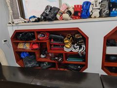 -温鉴良实用咏春拳