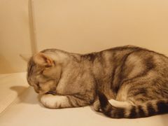 -小时光咖啡馆(北锣鼓巷店)