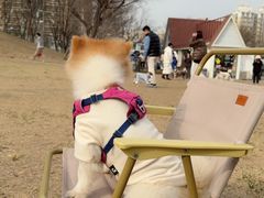 -小意思咖啡店(草桥店)